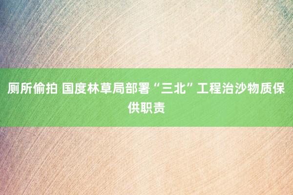 厕所偷拍 国度林草局部署“三北”工程治沙物质保供职责