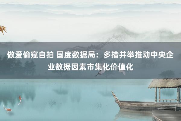 做爱偷窥自拍 国度数据局：多措并举推动中央企业数据因素市集化价值化