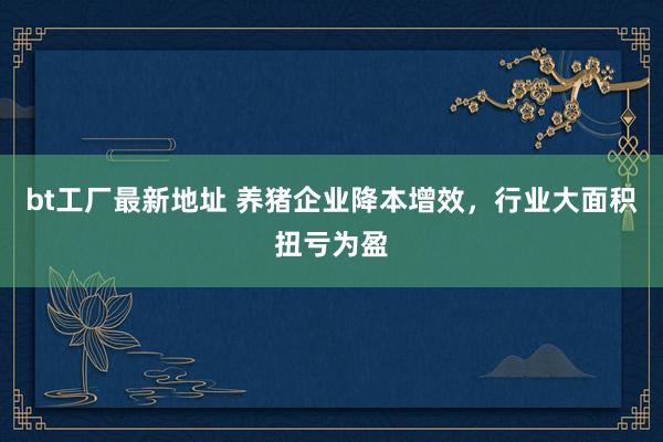 bt工厂最新地址 养猪企业降本增效，行业大面积扭亏为盈