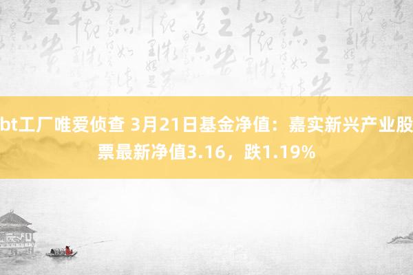 bt工厂唯爱侦查 3月21日基金净值：嘉实新兴产业股票最新净值3.16，跌1.19%
