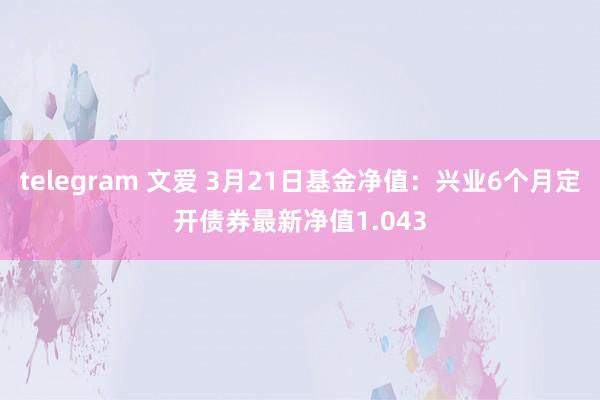 telegram 文爱 3月21日基金净值：兴业6个月定开债券最新净值1.043