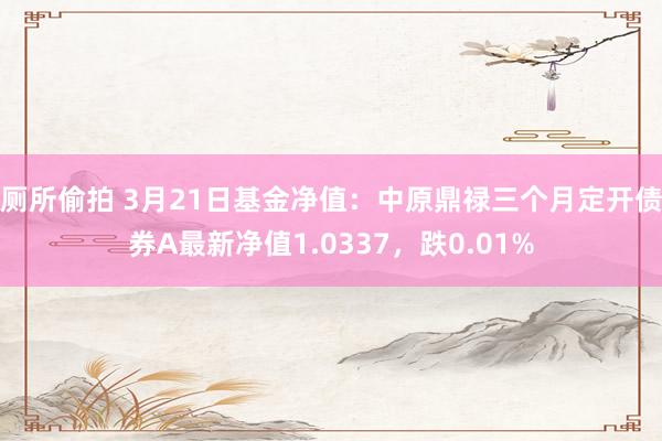 厕所偷拍 3月21日基金净值：中原鼎禄三个月定开债券A最新净值1.0337，跌0.01%