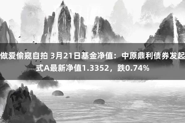 做爱偷窥自拍 3月21日基金净值：中原鼎利债券发起式A最新净值1.3352，跌0.74%