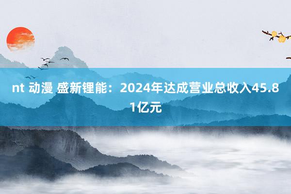 nt 动漫 盛新锂能：2024年达成营业总收入45.81亿元