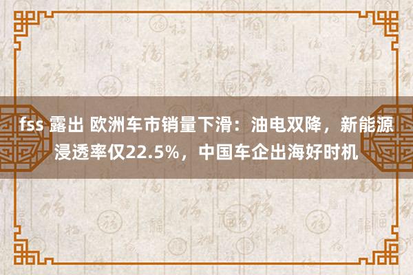 fss 露出 欧洲车市销量下滑：油电双降，新能源浸透率仅22.5%，中国车企出海好时机