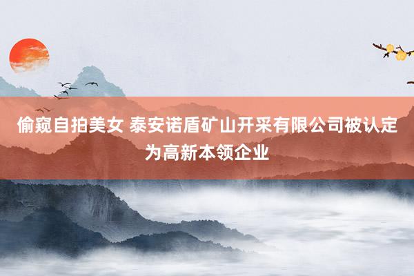 偷窥自拍美女 泰安诺盾矿山开采有限公司被认定为高新本领企业