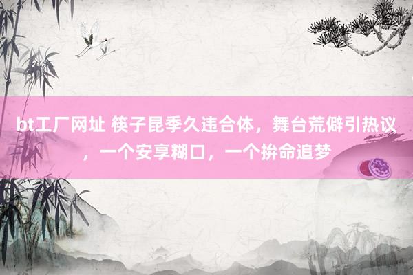 bt工厂网址 筷子昆季久违合体，舞台荒僻引热议，一个安享糊口，一个拚命追梦