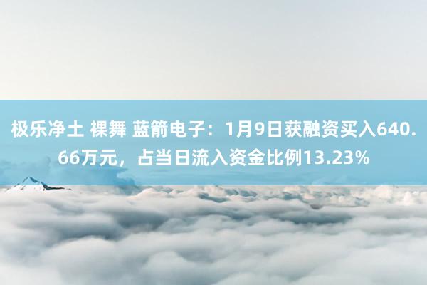 极乐净土 裸舞 蓝箭电子：1月9日获融资买入640.66万元，占当日流入资金比例13.23%