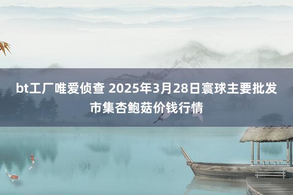 bt工厂唯爱侦查 2025年3月28日寰球主要批发市集杏鲍菇价钱行情