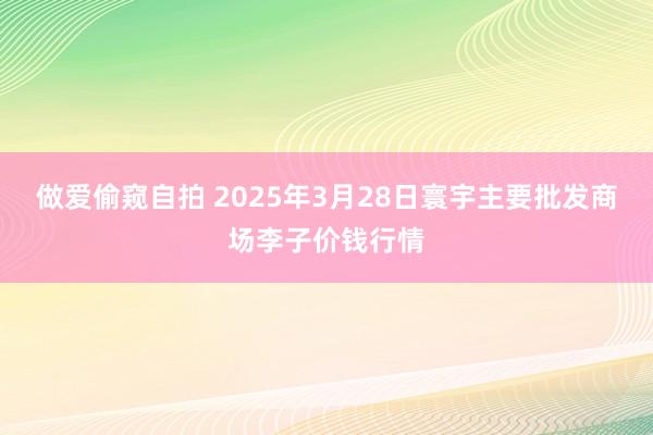做爱偷窥自拍 2025年3月28日寰宇主要批发商场李子价钱行情