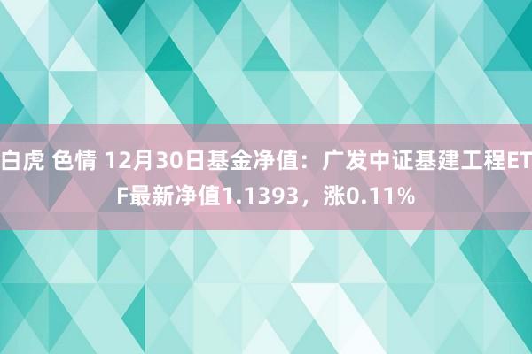 白虎 色情 12月30日基金净值：广发中证基建工程ETF最新净值1.1393，涨0.11%