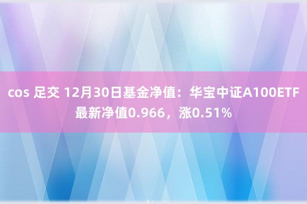 cos 足交 12月30日基金净值：华宝中证A100ETF最新净值0.966，涨0.51%