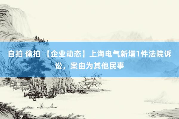 自拍 偷拍 【企业动态】上海电气新增1件法院诉讼，案由为其他民事