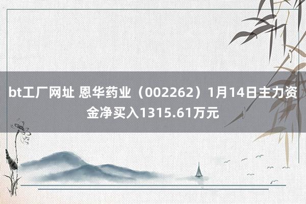 bt工厂网址 恩华药业(002262)1月14日主力资金净买入1315.61万元