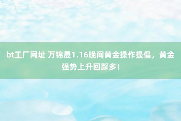 bt工厂网址 万锦晟1.16晚间黄金操作提倡，黄金强势上升回踩多！