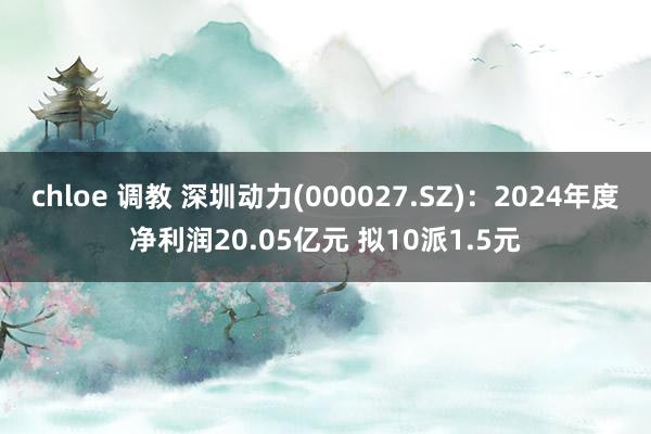 chloe 调教 深圳动力(000027.SZ)：2024年度净利润20.05亿元 拟10派1.5元