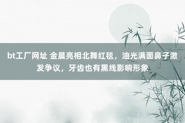 bt工厂网址 金晨亮相北舞红毯，油光满面鼻子激发争议，牙齿也有黑线影响形象