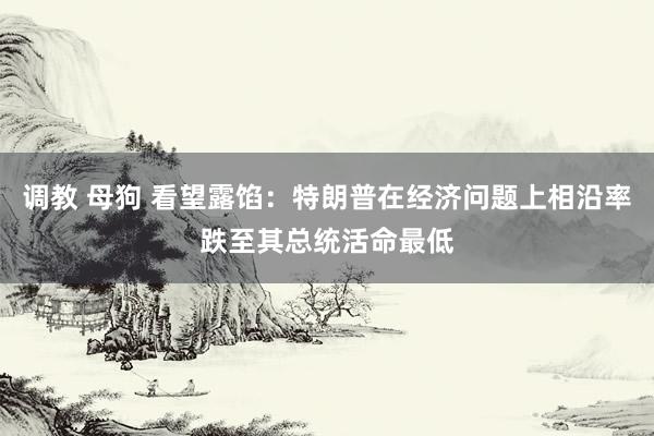 调教 母狗 看望露馅：特朗普在经济问题上相沿率跌至其总统活命最低