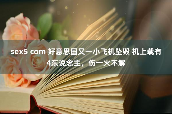 sex5 com 好意思国又一小飞机坠毁 机上载有4东说念主，伤一火不解