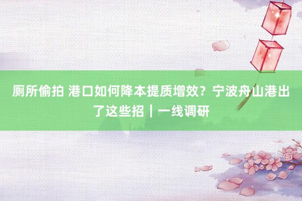 厕所偷拍 港口如何降本提质增效？宁波舟山港出了这些招｜一线调研