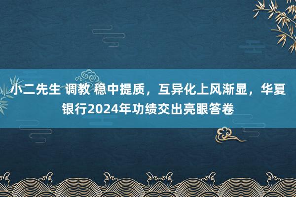 小二先生 调教 稳中提质，互异化上风渐显，华夏银行2024年功绩交出亮眼答卷