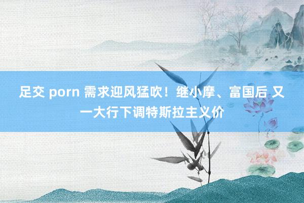 足交 porn 需求迎风猛吹！继小摩、富国后 又一大行下调特斯拉主义价