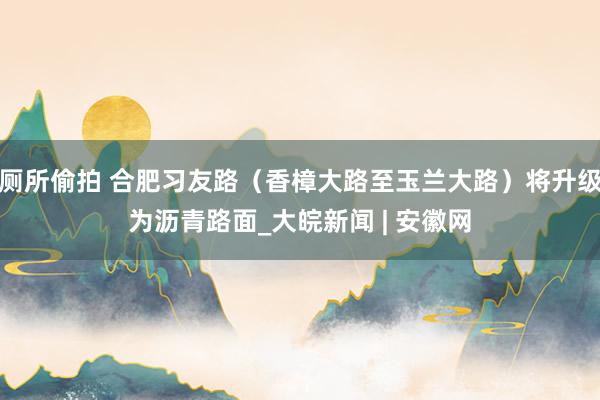 厕所偷拍 合肥习友路（香樟大路至玉兰大路）将升级为沥青路面_大皖新闻 | 安徽网