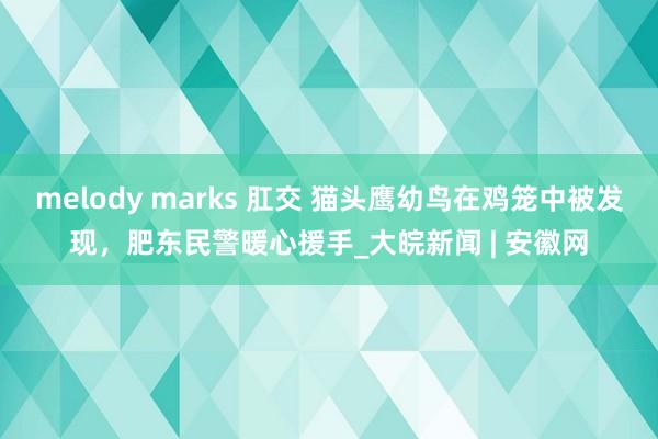 melody marks 肛交 猫头鹰幼鸟在鸡笼中被发现，肥东民警暖心援手_大皖新闻 | 安徽网