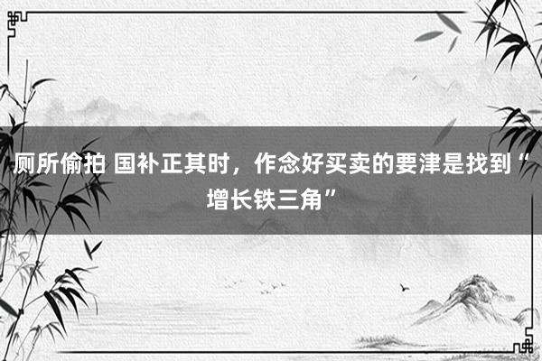 厕所偷拍 国补正其时，作念好买卖的要津是找到“增长铁三角”