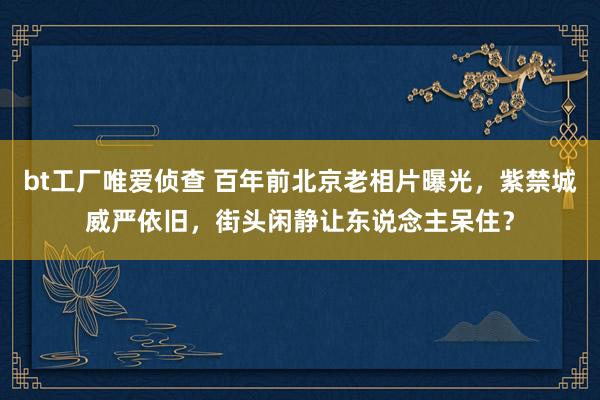 bt工厂唯爱侦查 百年前北京老相片曝光，紫禁城威严依旧，街头闲静让东说念主呆住？