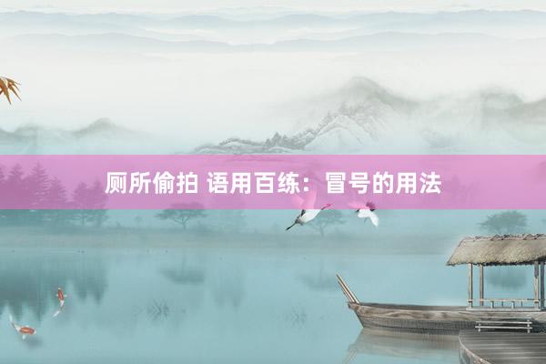 厕所偷拍 语用百练：冒号的用法